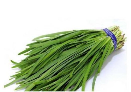 高龄男性备孕二胎怎么调理身体？做好这些能够有效帮助提升成功率